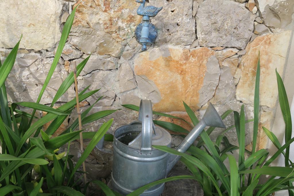 Noz Por Ca... Turismo Em Espaco Rural Alcaria  외부 사진